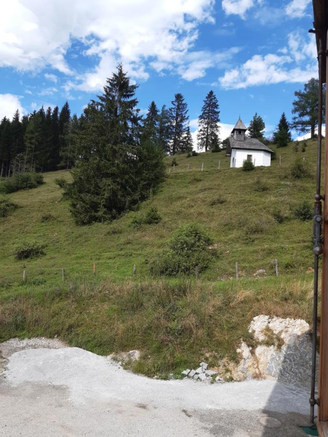 Sonnleit'N Zimmer 7 Abtenau Exteriér fotografie