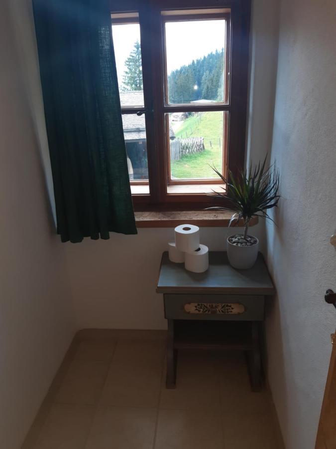 Sonnleit'N Zimmer 7 Abtenau Exteriér fotografie