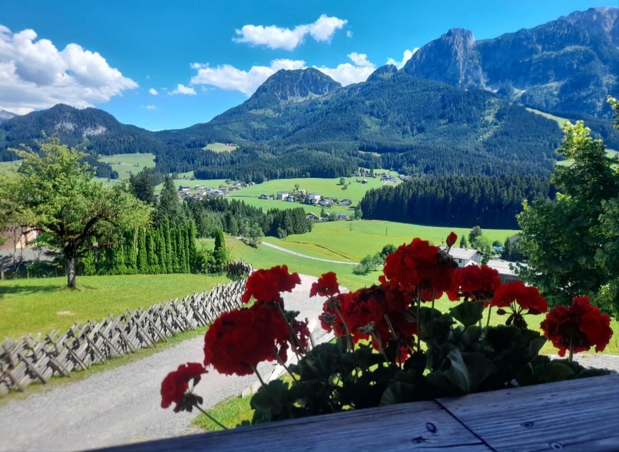 Sonnleit'N Zimmer 7 Abtenau Exteriér fotografie