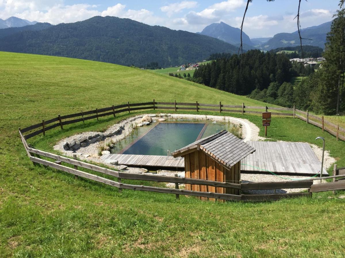 Sonnleit'N Zimmer 7 Abtenau Exteriér fotografie