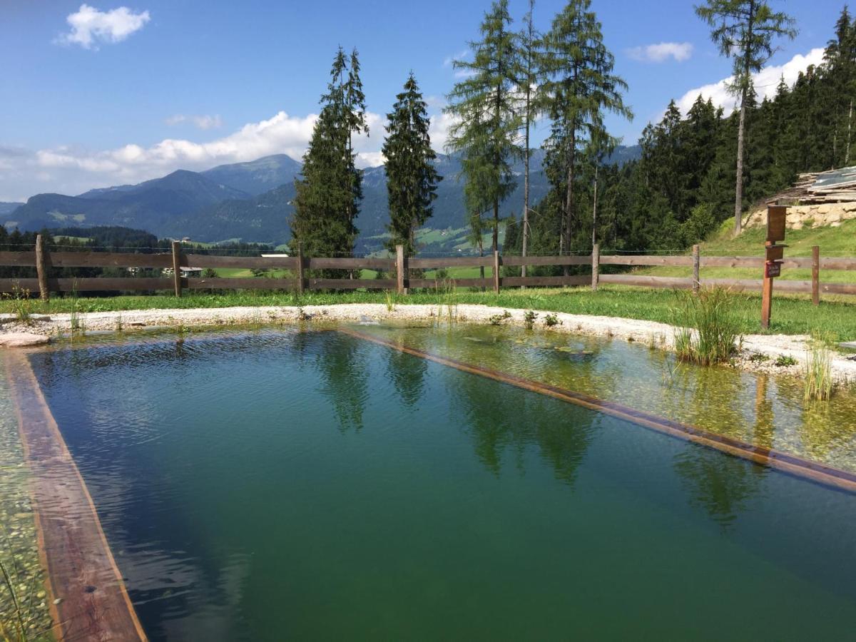 Sonnleit'N Zimmer 7 Abtenau Exteriér fotografie