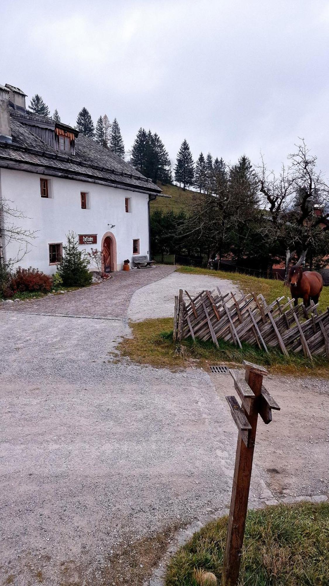 Sonnleit'N Zimmer 7 Abtenau Exteriér fotografie