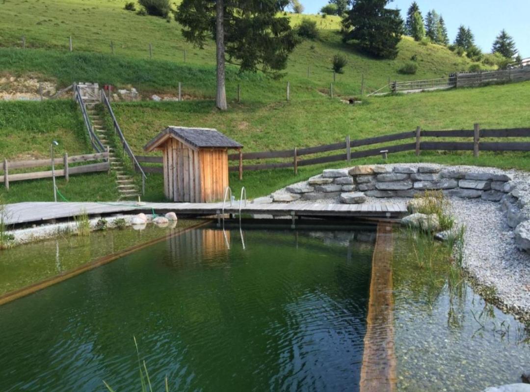 Sonnleit'N Zimmer 7 Abtenau Exteriér fotografie
