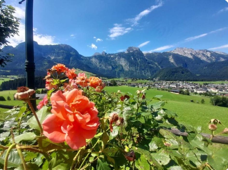 Sonnleit'N Zimmer 7 Abtenau Exteriér fotografie
